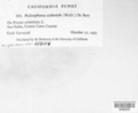 Image Associated With the Occurence
